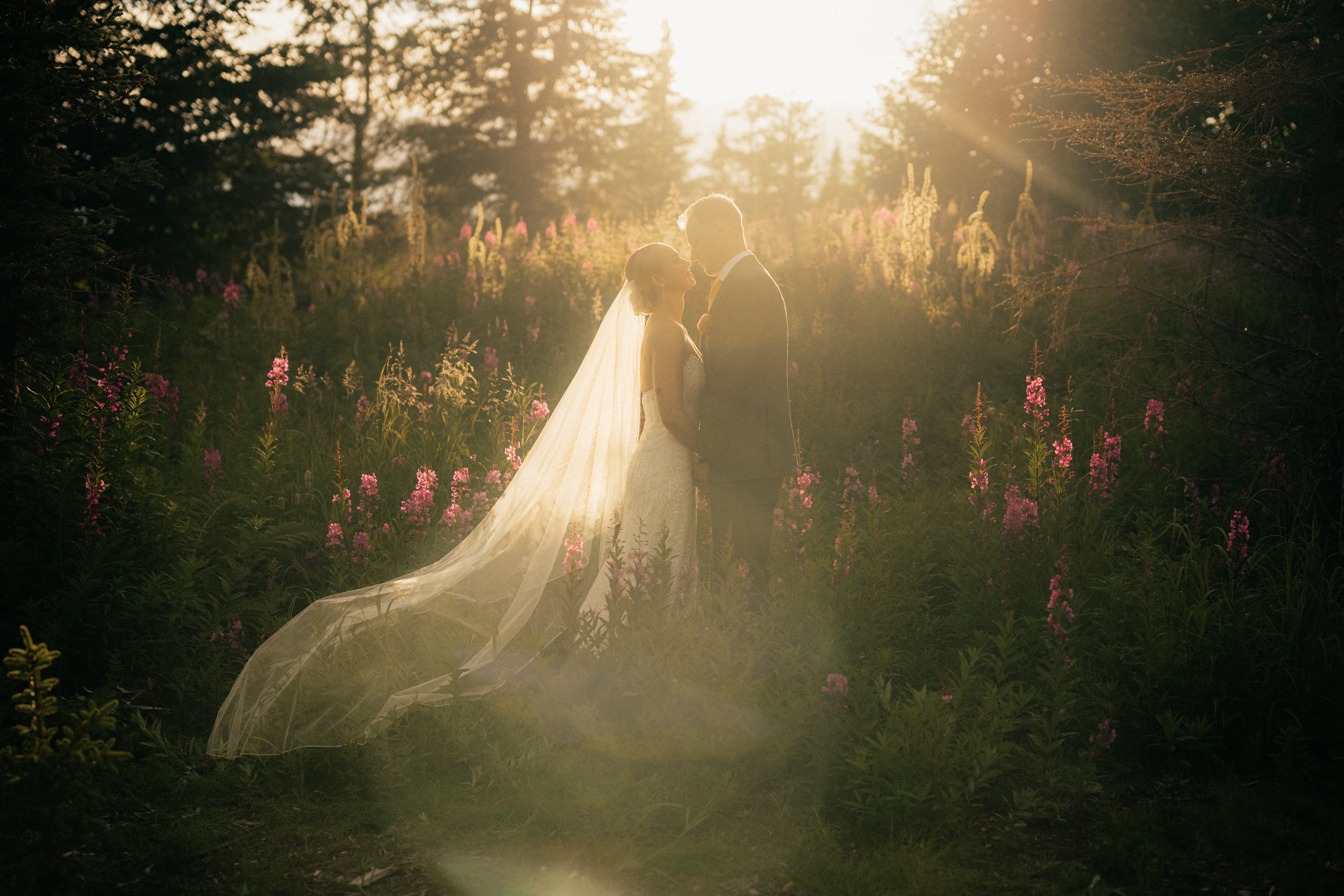 Bride and groom during golden hour at their Homer Alaska wedding with fireweed in bloom.